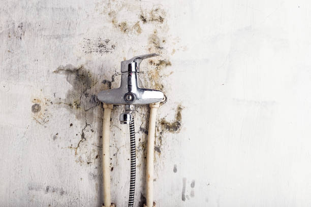 Best Office Mold Removal Services  in Lake Como, NJ