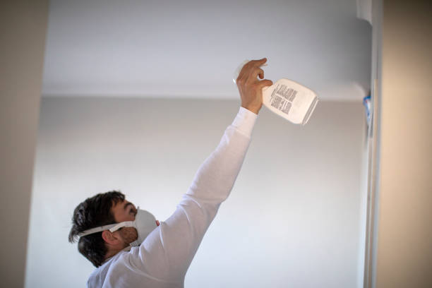 Best Residential Mold Removal  in Lake Como, NJ