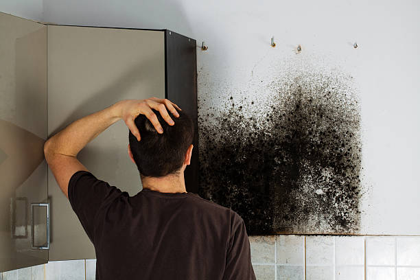 Best Attic Mold Removal  in Lake Como, NJ