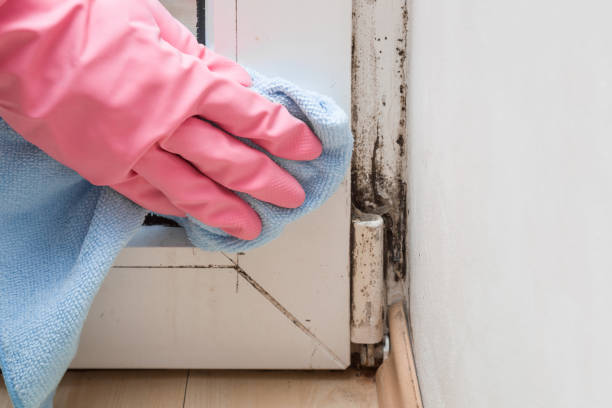 Best Mold Remediation Services  in Lake Como, NJ